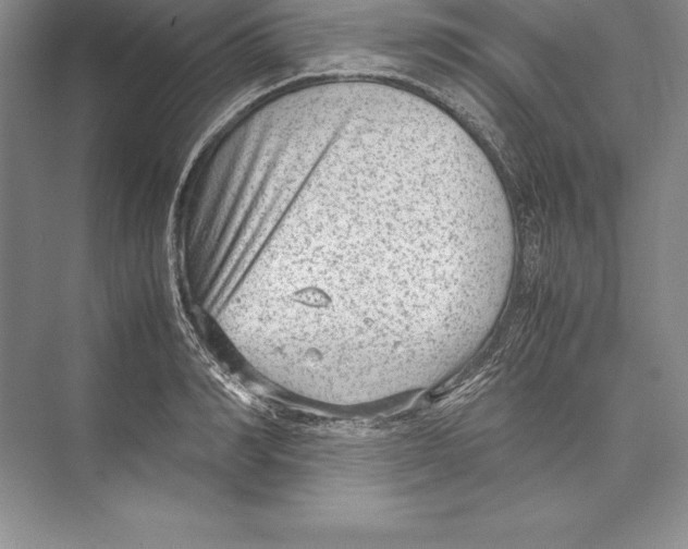 X0000072500990200608111623