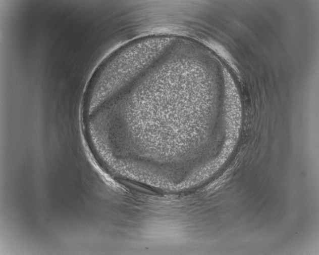 X0000072500991200608111623