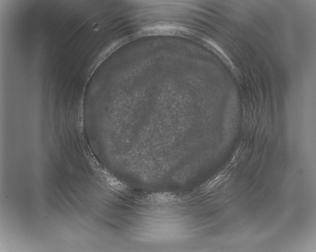 X0000072500994200608111623