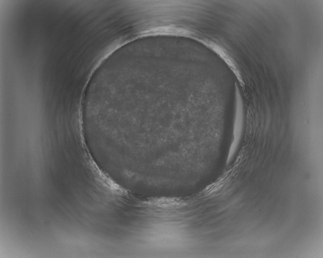 X0000072500998200608111623