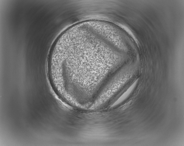 X0000072500999200608111623