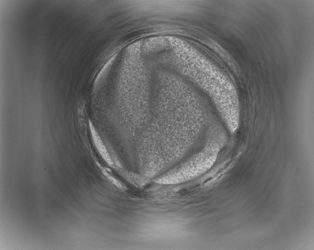 X0000072501001200608111623