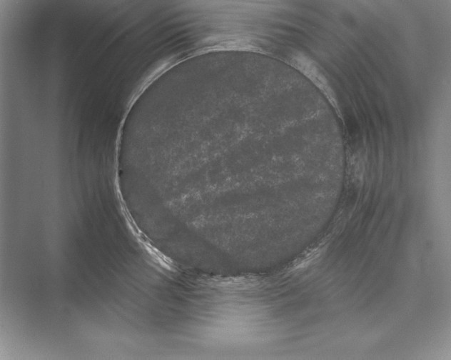 X0000072501002200608111623