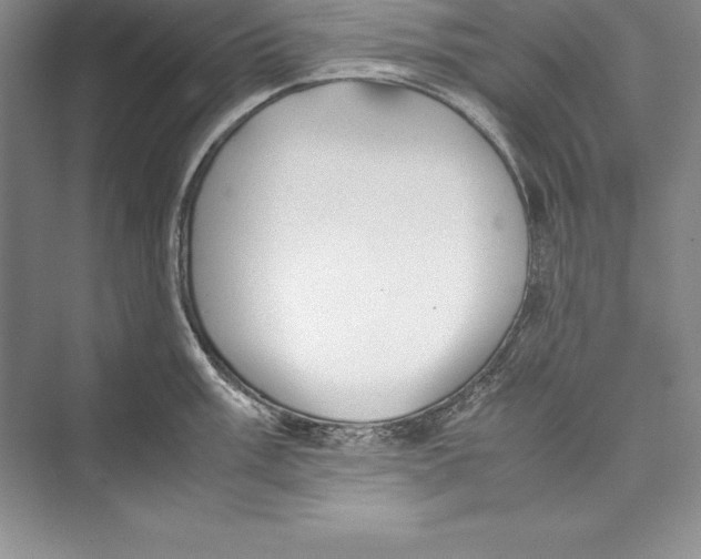 X0000072501003200608111623