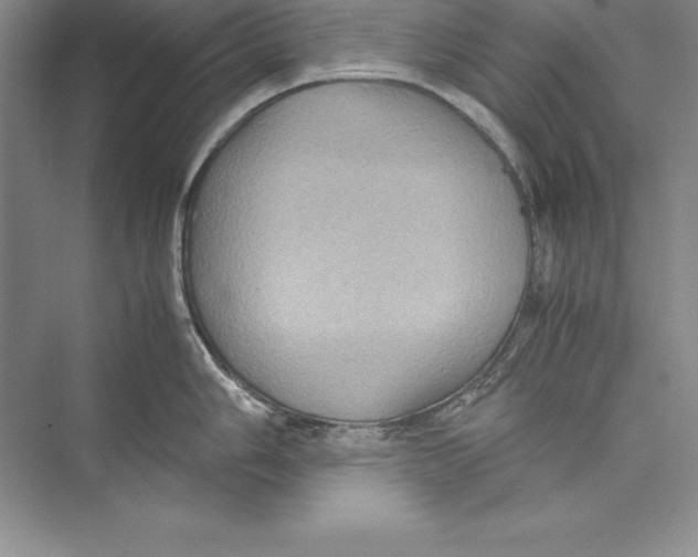 X0000072501006200608111623