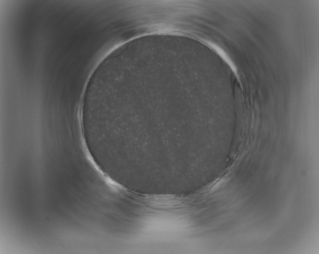 X0000072501007200608111623