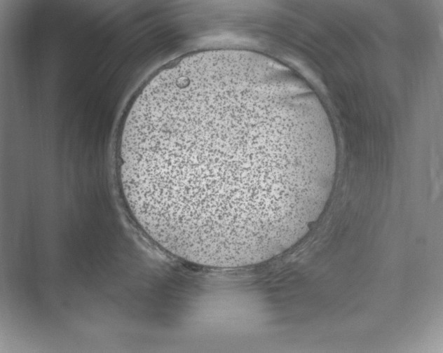 X0000072501008200608111623