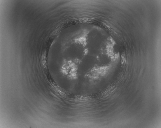 X0000072501011200608111622