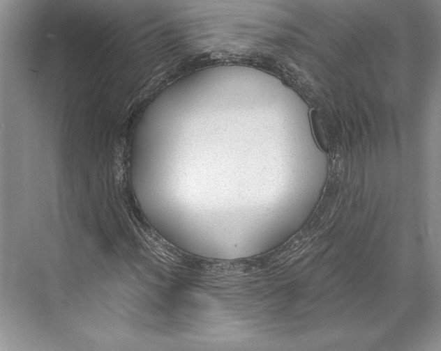 X0000072501012200608111622