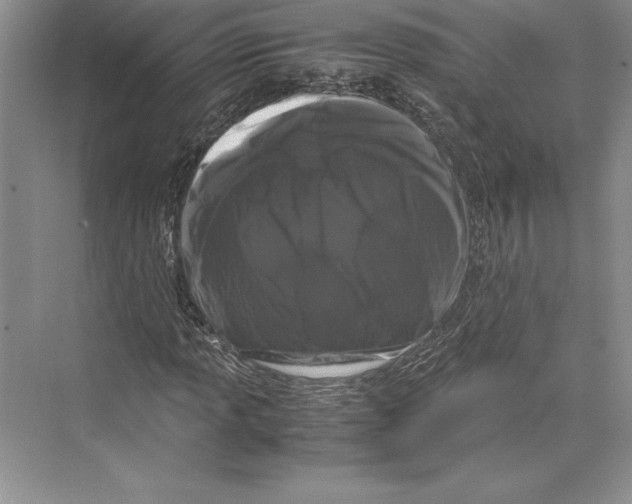 X0000072501013200608111622