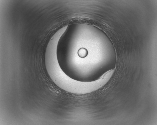 X0000072501014200608111622