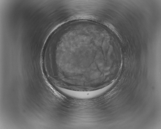 X0000072501024200608111622