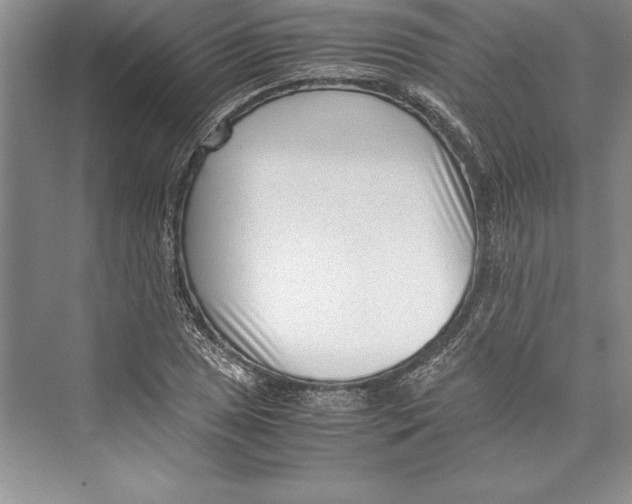 X0000072501025200608111622