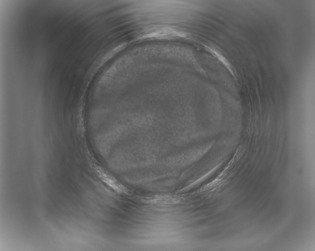 X0000072501026200608111622