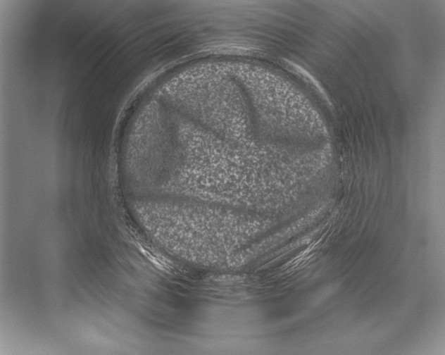 X0000072501027200608111623