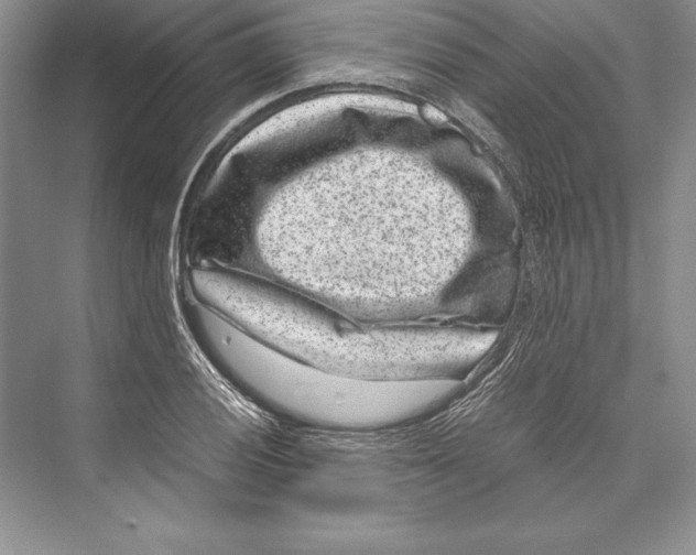 X0000072501028200608111623