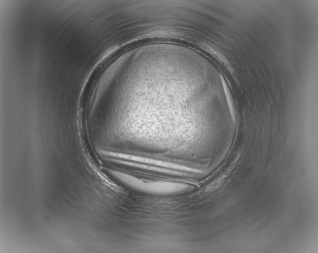 X0000072501029200608111623