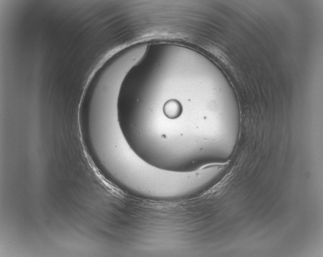 X0000072501030200608111623