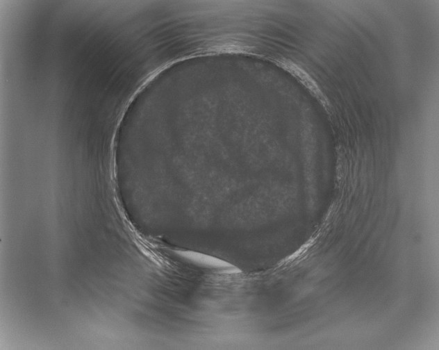 X0000072501031200608111623