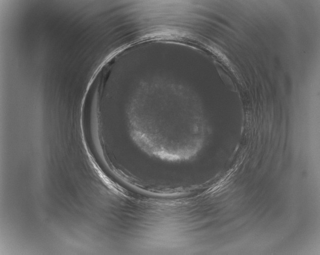 X0000072501034200608111623