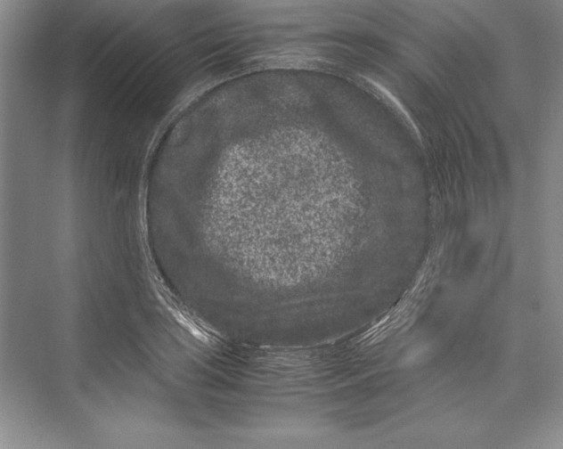 X0000072501035200608111623