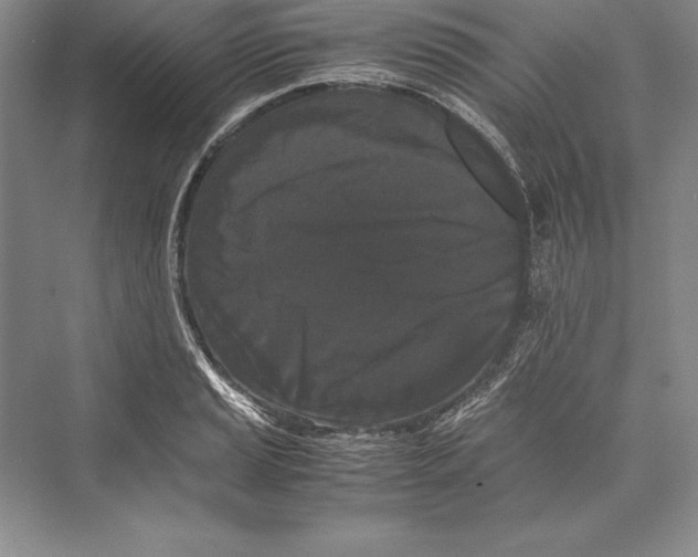 X0000072501037200608111623