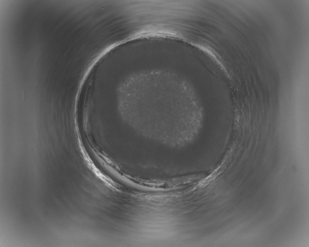 X0000072501038200608111623