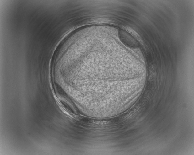 X0000072501039200608111623