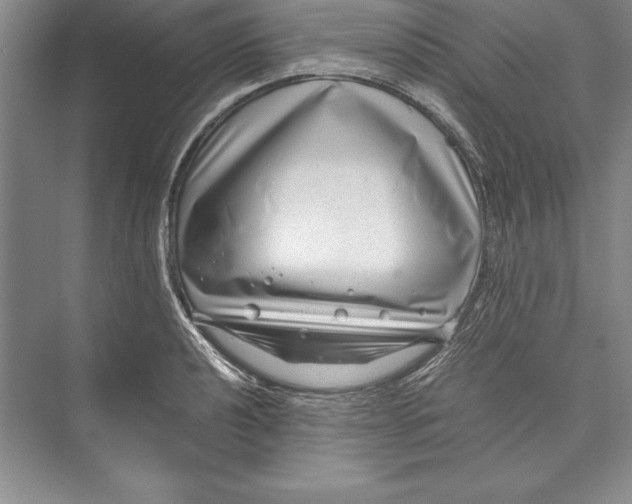 X0000072501040200608111623