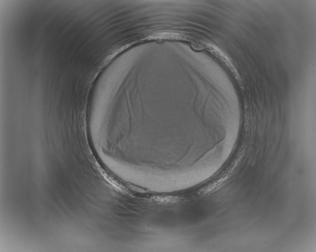 X0000072501041200608111623