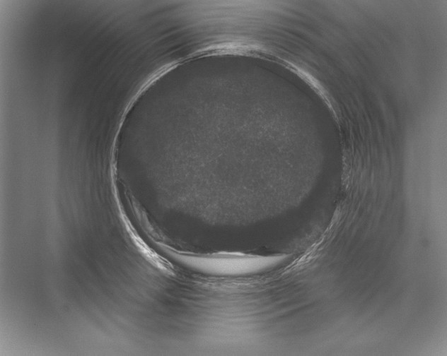 X0000072501042200608111623