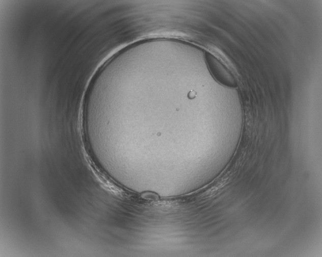 X0000072501044200608111623