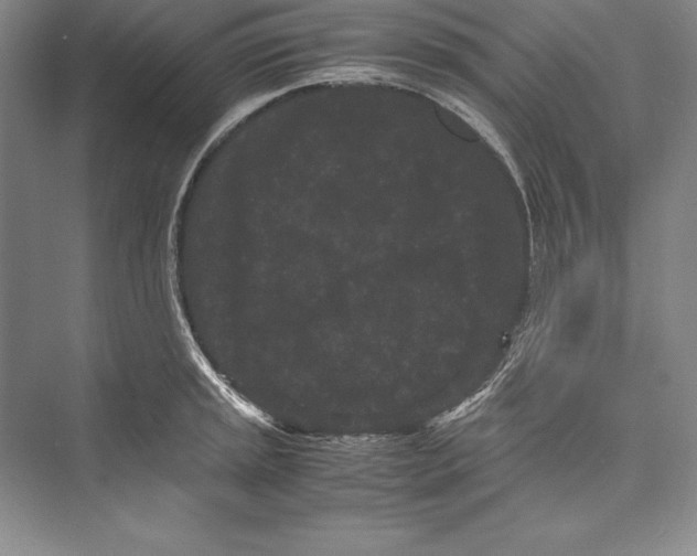 X0000072501045200608111623