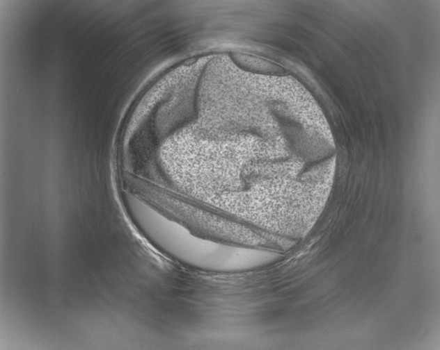 X0000072501048200608111623