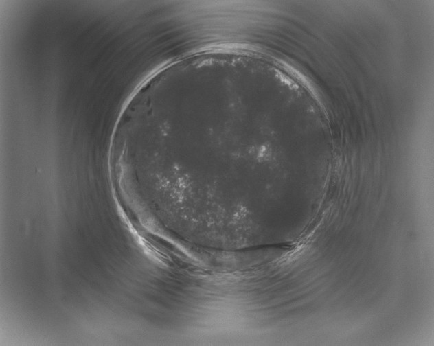 X0000072501050200608111623