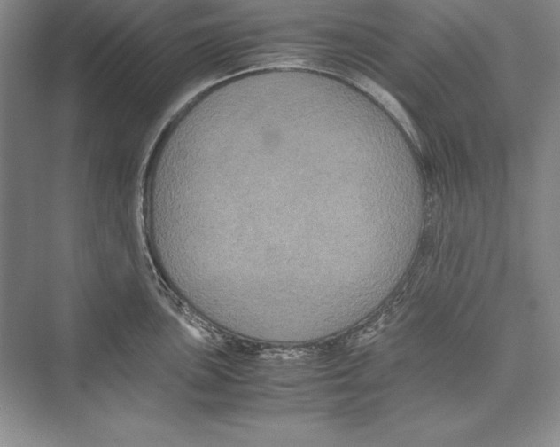 X0000072501051200608111623