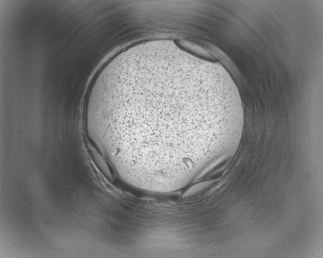 X0000072501052200608111623