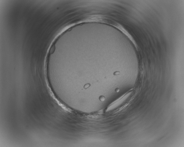 X0000072501053200608111623