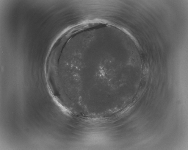 X0000072501054200608111623