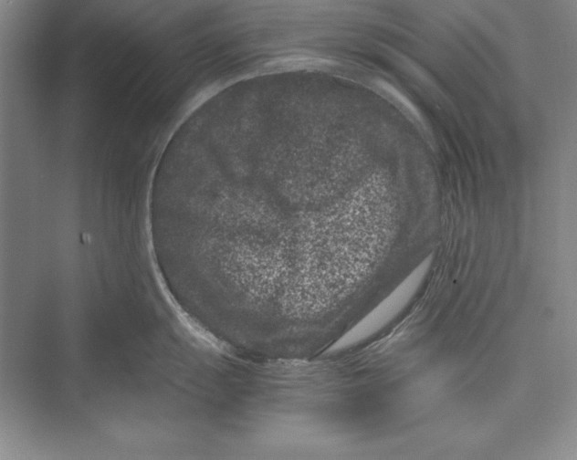 X0000072501055200608111623