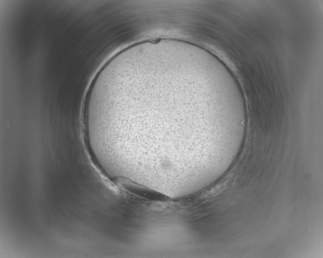 X0000072501056200608111623