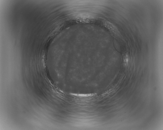 X0000072501060200608111622