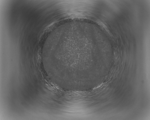 X0000072501063200608111622