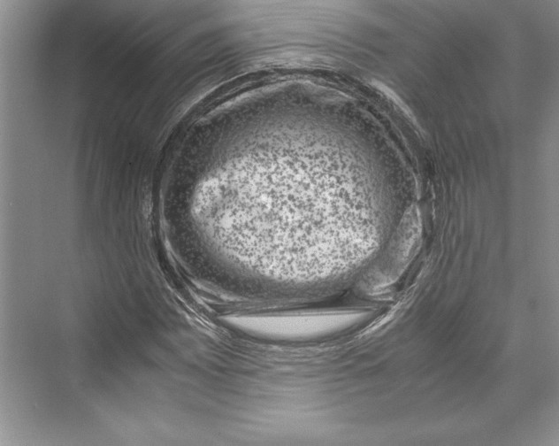 X0000072501065200608111622