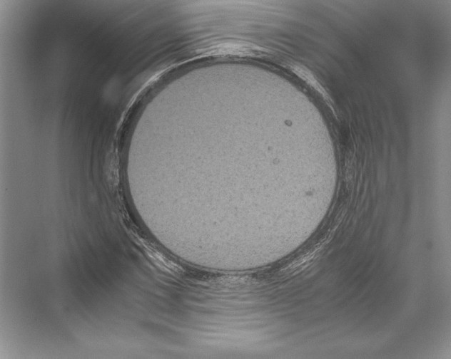 X0000072501067200608111622