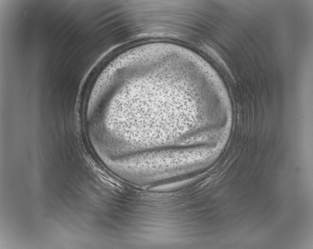 X0000072501068200608111622