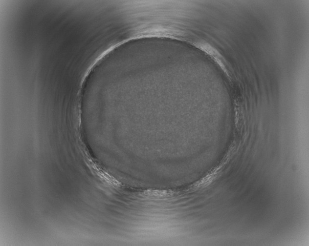 X0000072501069200608111622