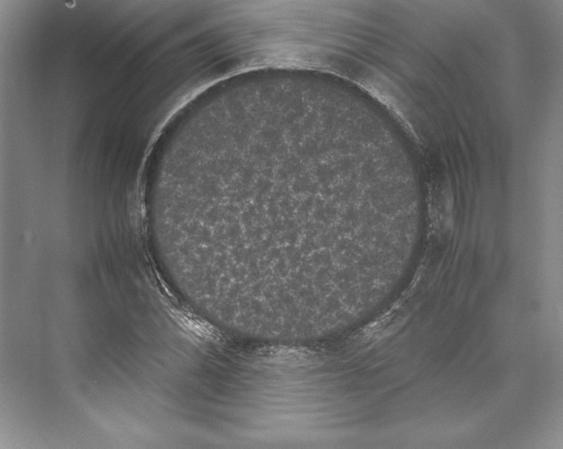 X0000072501070200608111622