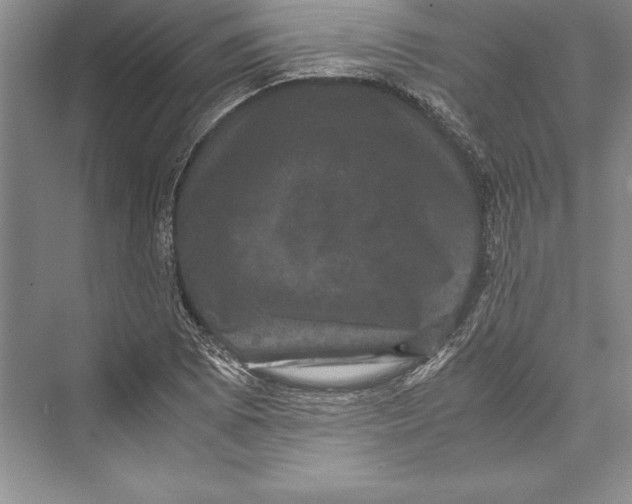 X0000072501073200608111622