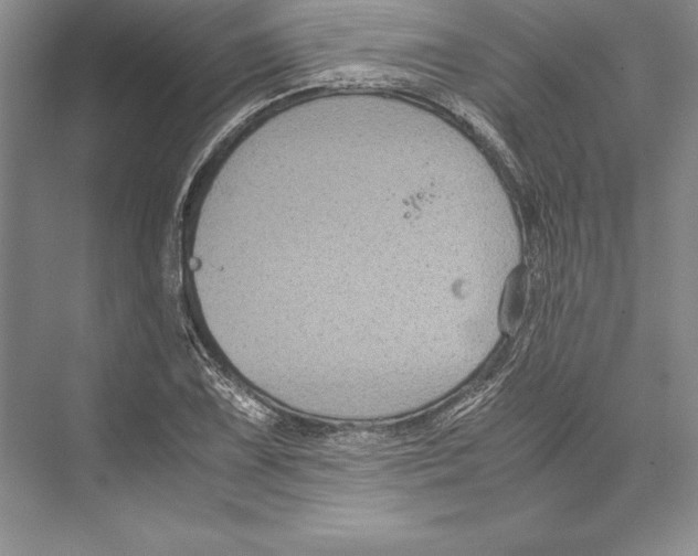 X0000072501075200608111622